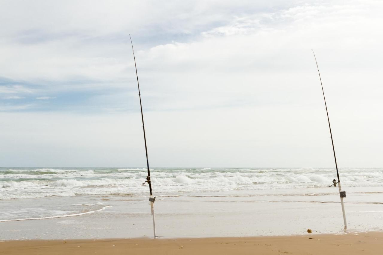 Wild Wind Condominiums #9 South Padre Island Buitenkant foto